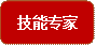 技能专家