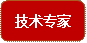 技术专家