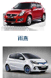 Picture 36,Picture 37,Picture 39,雨燕
