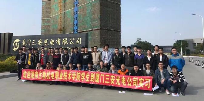 说明:917315680754560292