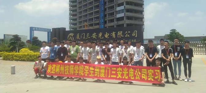 说明:247521660729505893